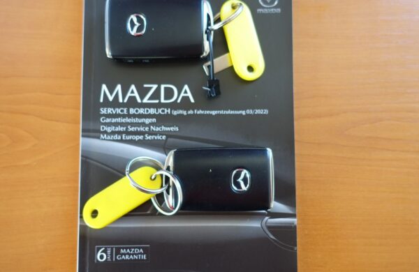 Mazda MX-30 EV ADVANTAGE – INDUSTRIAL VINT, nabídka 1a8b247c-4546-406e-889e-f8c1f1992831