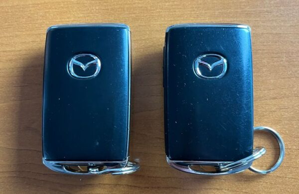 Mazda MX-30 e-SKYACTIV 94,2 %  SoH, nabídka c096f956-97e7-44f4-81f4-8966f77c887a