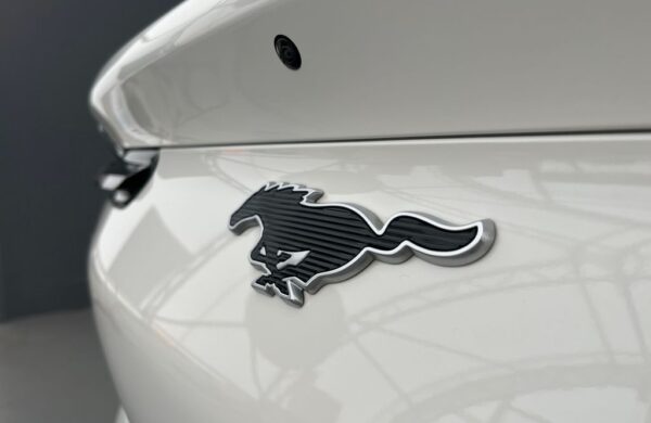 Ford Mustang Mach-E Standard Range, SoH 94,5 %, nabídka c2706afc-2ff5-4797-9719-a0b0663e3764