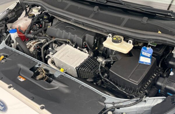 Ford S-Max 2.0 EcoBlue Automat VIGNALE, nabídka 14bc1d17-fd91-4a24-be7e-8f6e6ff3d7a4