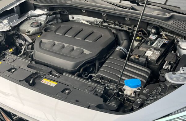 Cupra  2.0 TSi 140kW DSG 4×4 ČR 1.maj, nabídka 7224e433-cbf1-4e2e-ad8e-747089ace6b8
